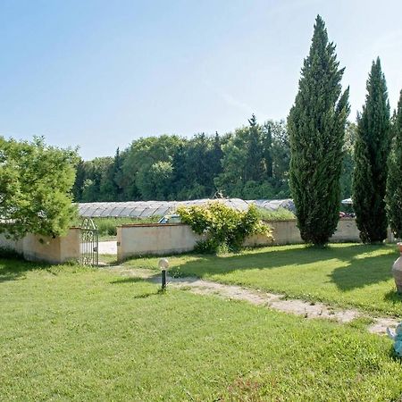 B&B Casa Betulla Pisa Ngoại thất bức ảnh